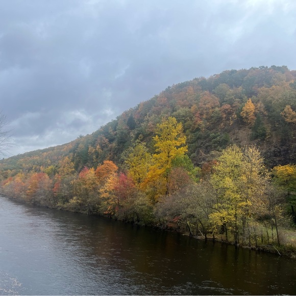 Meet your Posher, Casey - Picture 1 of 2